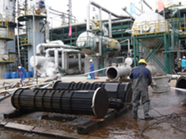 ���͏S(ch��ng)��������ϴ